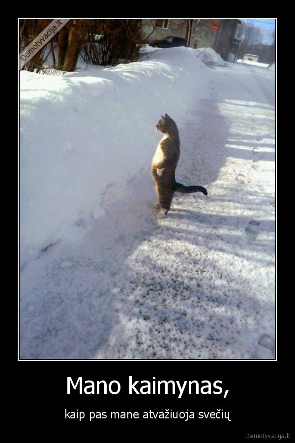 Mano kaimynas,