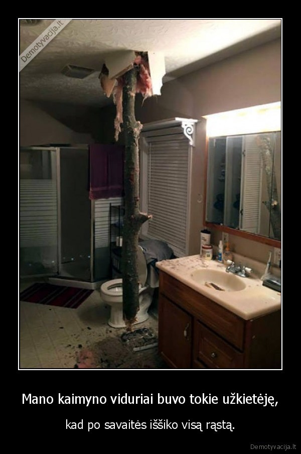 kaimynas,rastas,sudai,tualetas