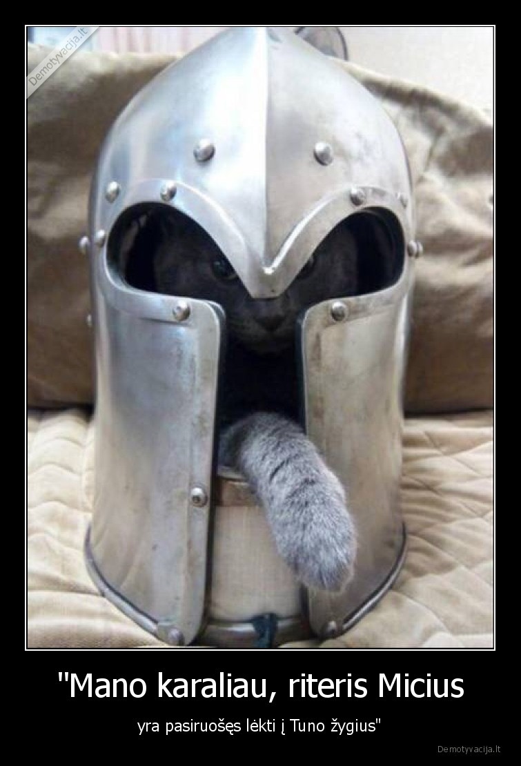 katinas,kate,zygis,salmas