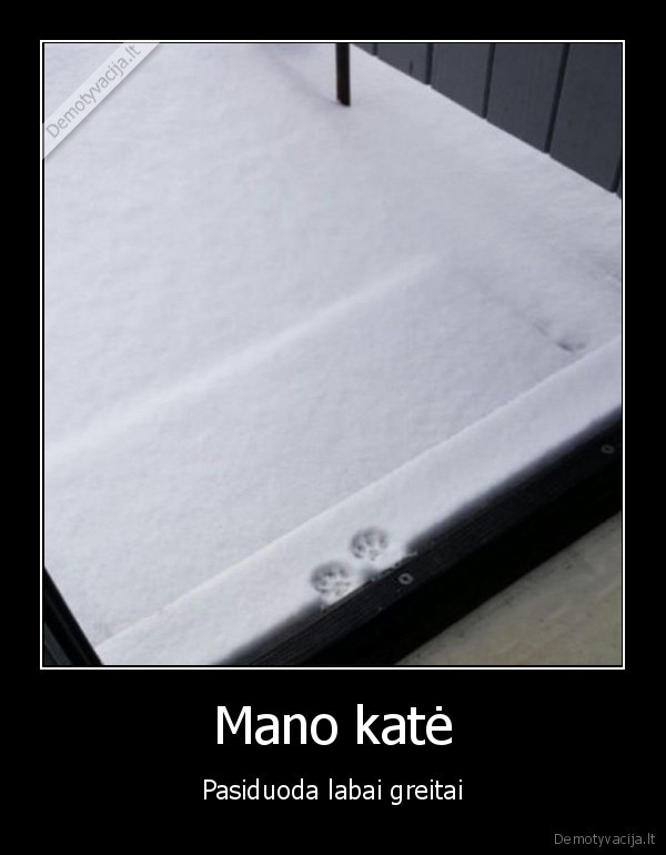 kate,sniegas,letenos