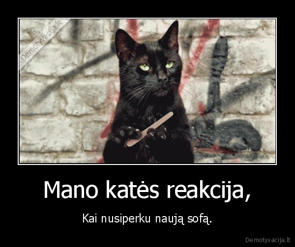 nauja, sofa,naglas, katinas,galanda, nagus