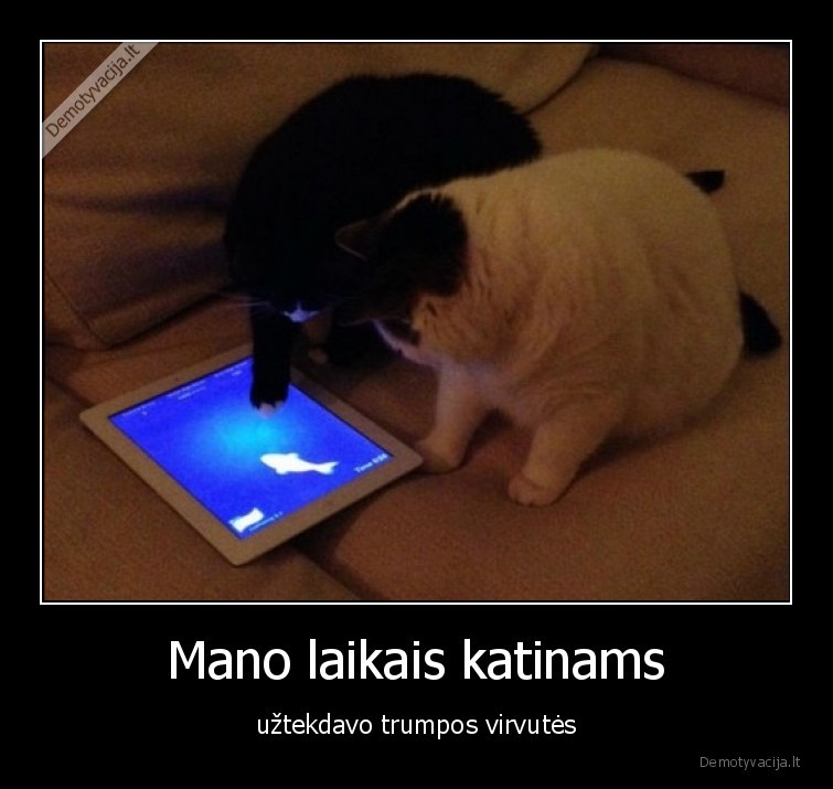 virve,katinai,zaidzia,plansete