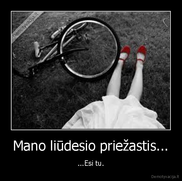 Mano liūdesio priežastis...