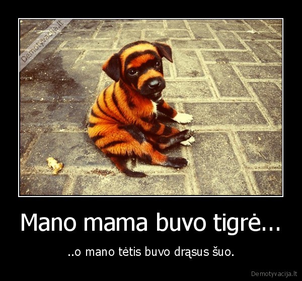 Mano mama buvo tigrė...