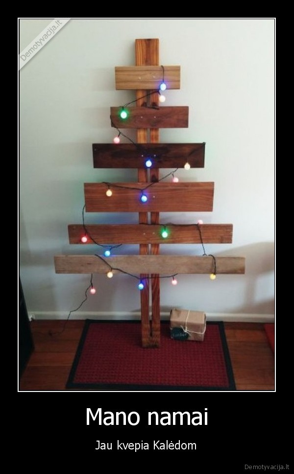 kaledos,kaledine, eglute,medis