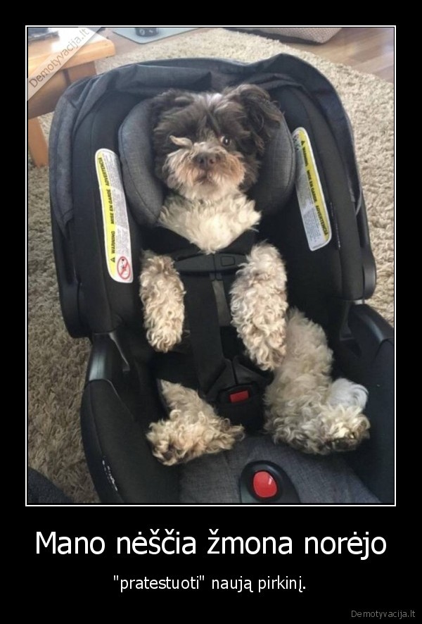 nestumas,suo,pirkinys