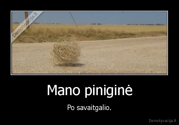 pinigine,savaitgalis,pinigai