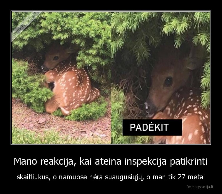 skaitliukai,padekit,vaikas