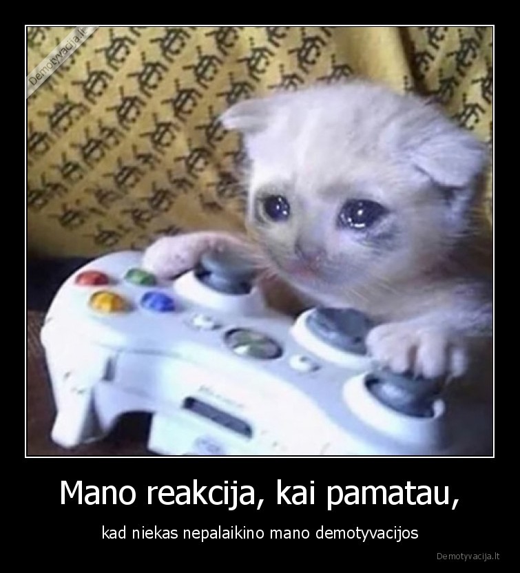 demotyvacija,katinelis,reakcija,liudna