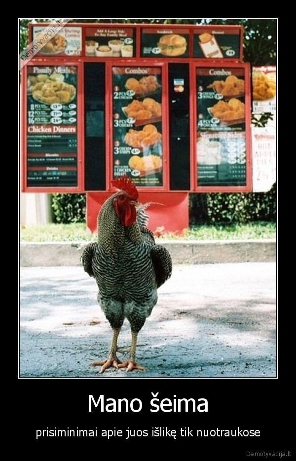 seima,prisiminimai,nuotraukos,seima,gaidys,vista