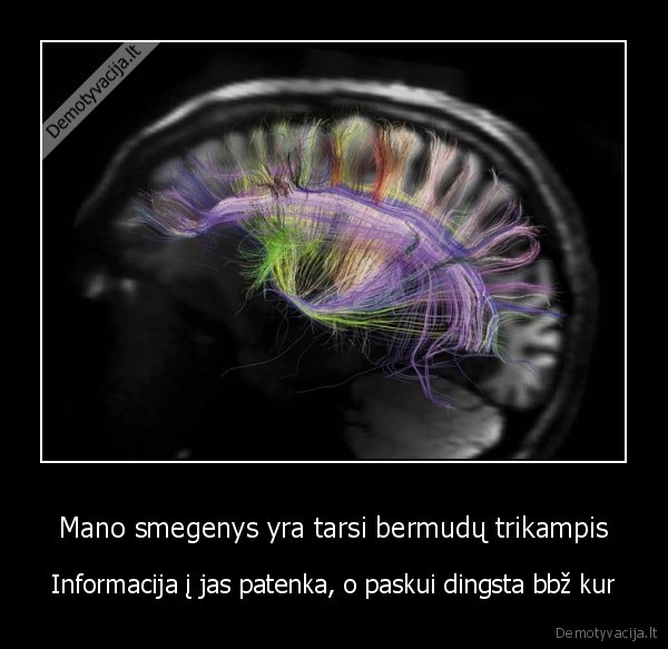 smegenys,bermudu, trikampis,informacija