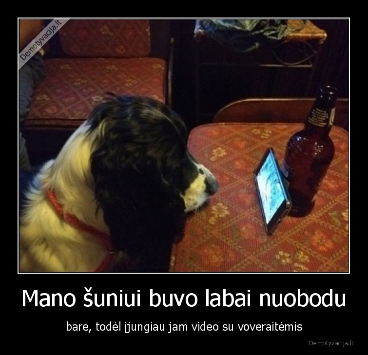 suo,liudi,voveraites,video