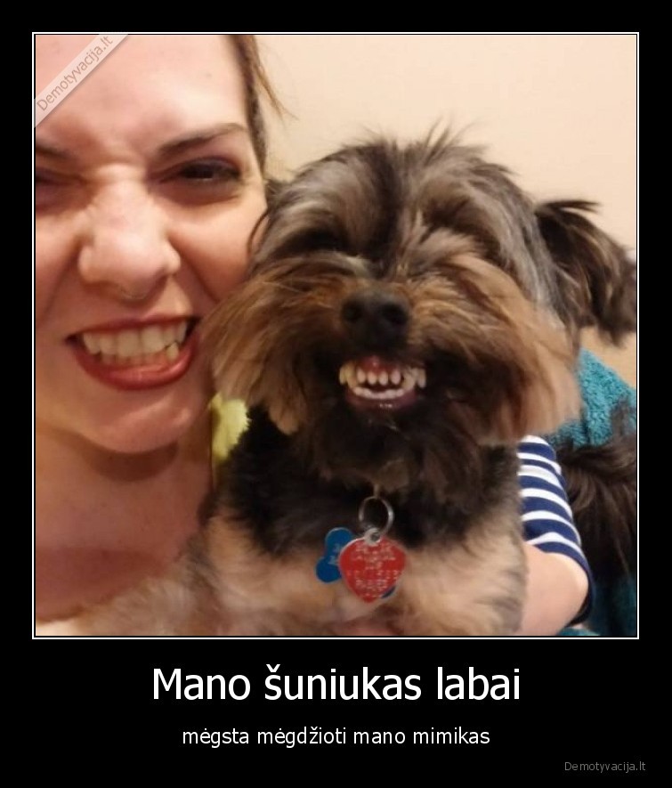 suo,mimika,megdzioja,sypsena