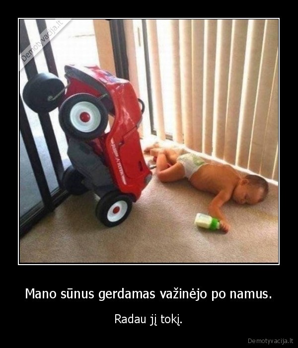 sunus,masina,namai,gerimas