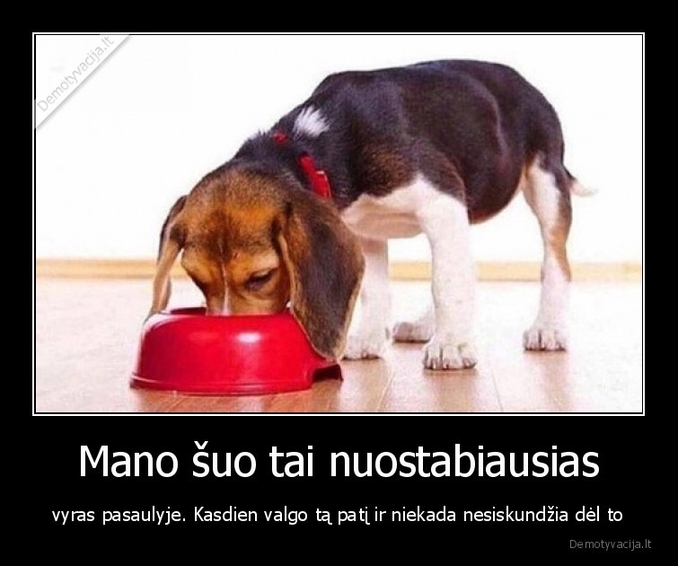 vyras,suo,valgo,valgis,tas, pats