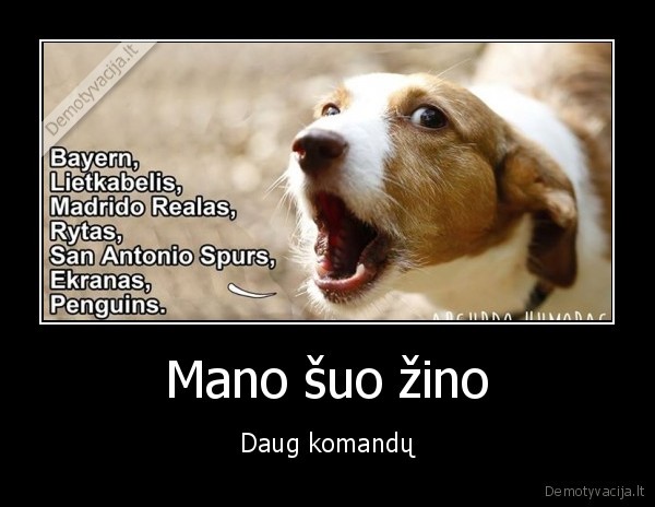 sporto, komandos,protingas, suo