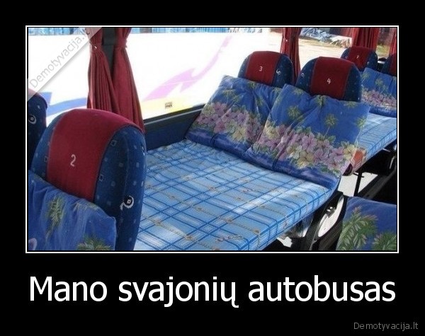 Mano svajonių autobusas