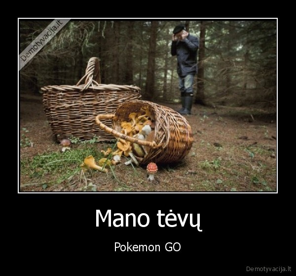 pokemonai,paieskos,grybavimas