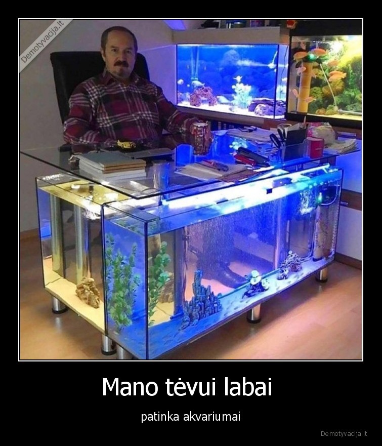 tevas,akvariumas,patinka,darbo,stalas