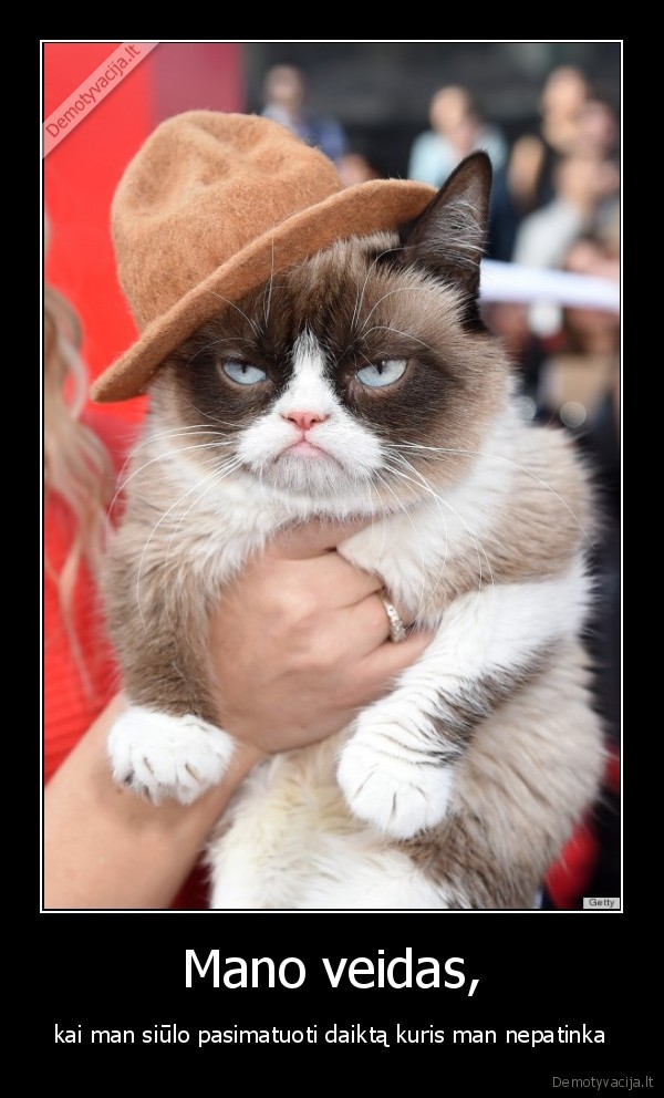 Mano veidas,