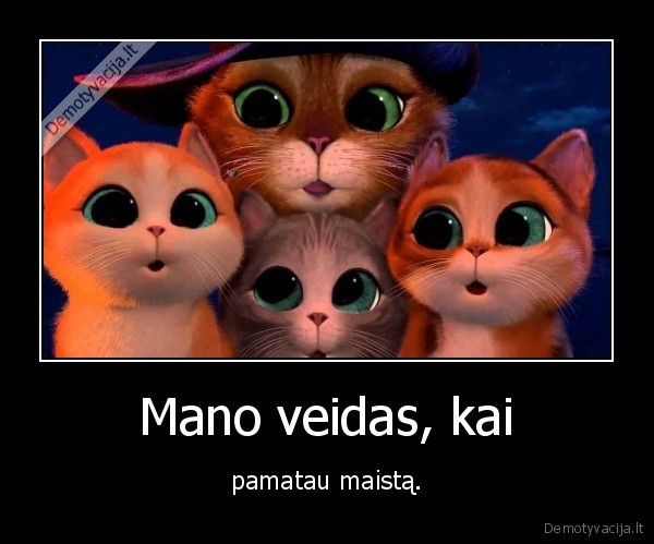 mano, veidas,mieli, katinai,maistas