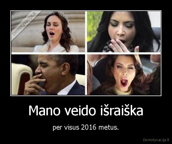 2016, metai,ziovulys,miegas