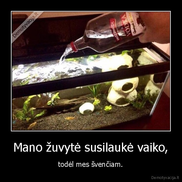 zuvis,zuvyte,vaikas,degtine