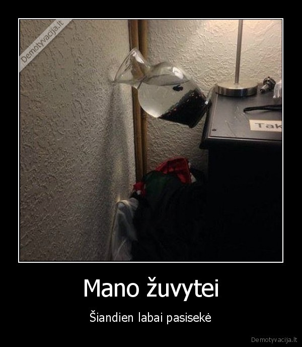 auksine, zuvele,nelaime