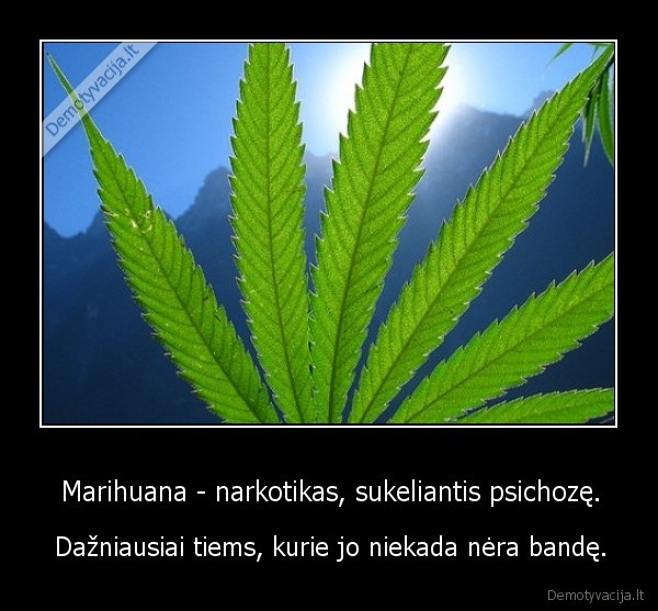 Marihuana - narkotikas, sukeliantis psichozę.