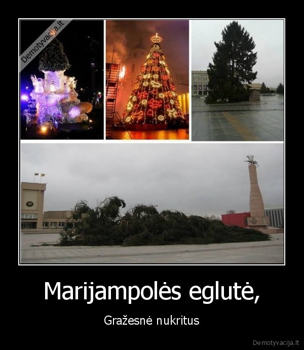 Marijampolės eglutė,