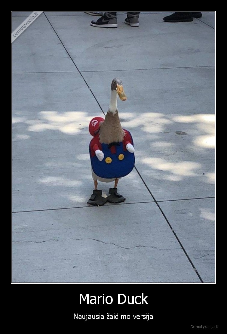 mario, duck,super, mario,antis,kostiumai,cosplay