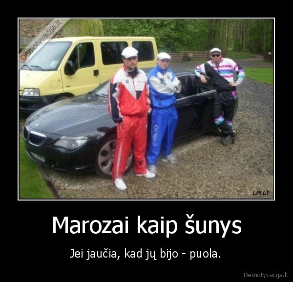 Marozai kaip šunys