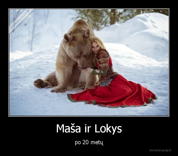 masa, ir, lokys,lokys,masa,realybeje