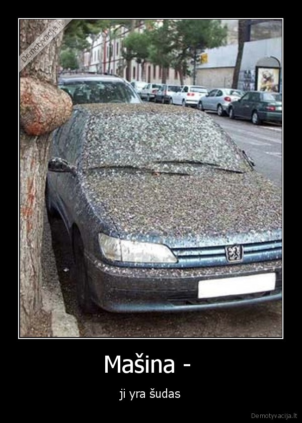 zmogus, gyvenimas, pasaulis