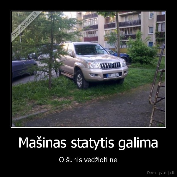 masinos, kiemas, sunys