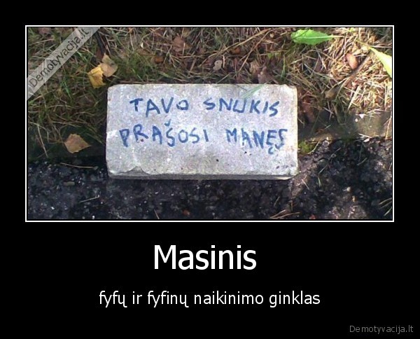 kai, kuriu, zmoniu, snukiai, rimtais, plytu, prasos