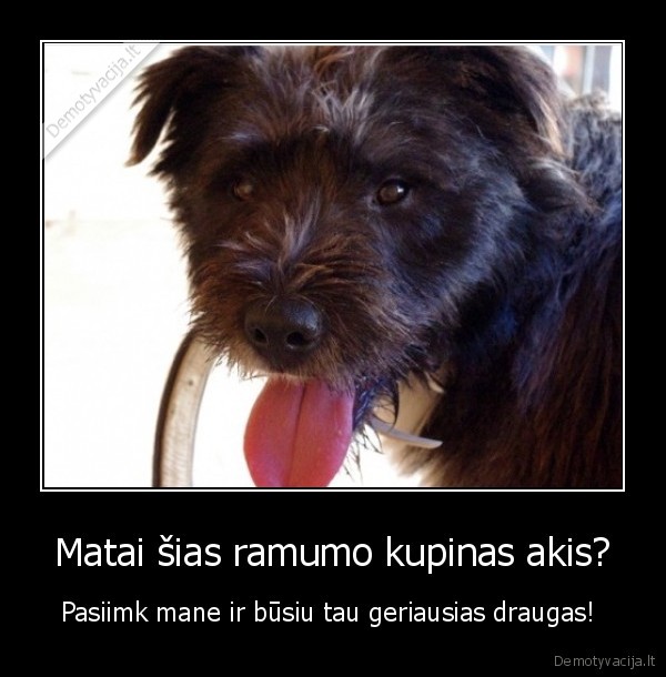 gyvunu, globos, namai, 5, pedutes