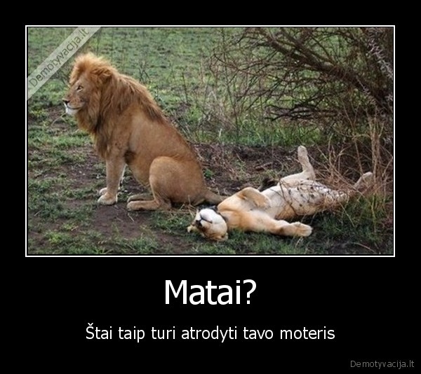 moteris, mergina, santykiai