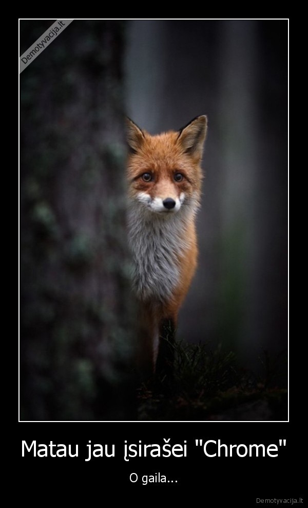 google, chrome,lape,mozilla, firefox,narsykle