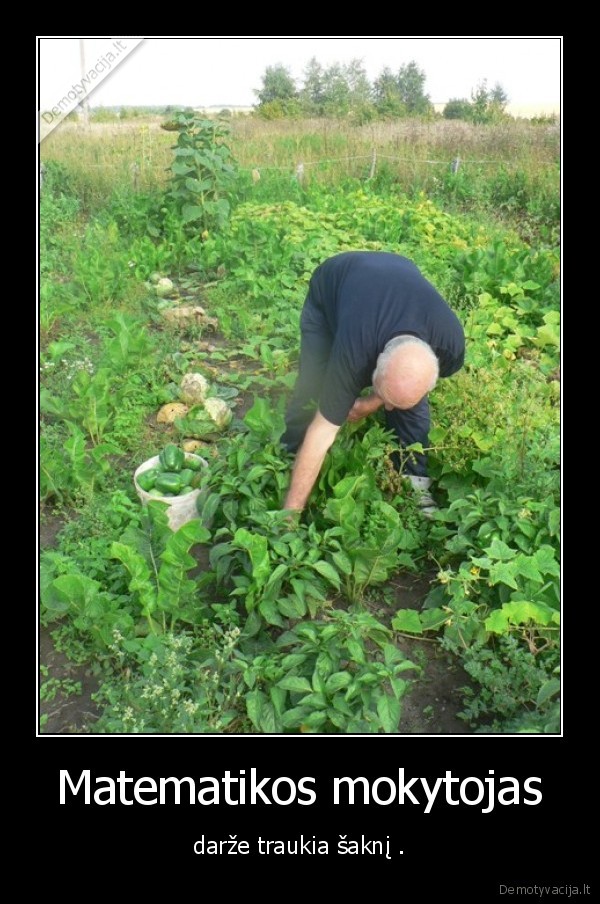 darzas,matematika,mokytojas,saknis