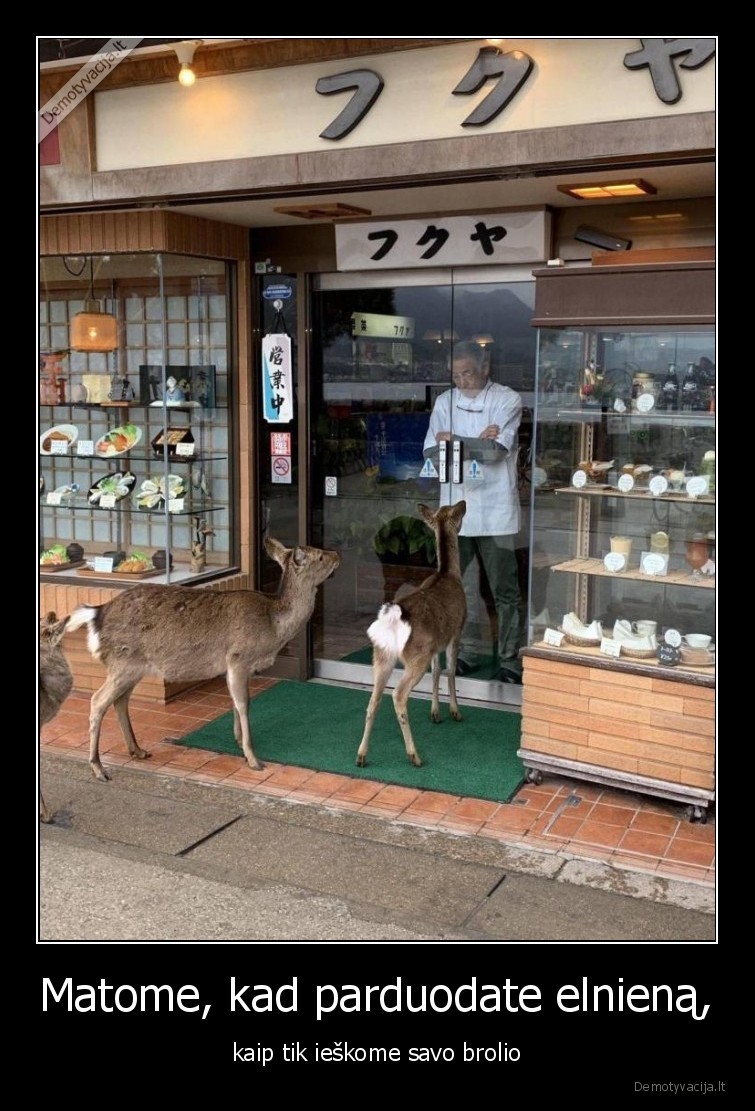 elniena,restoranas,iesko