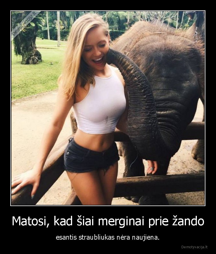 mergina,straublys,dramblys,zandas