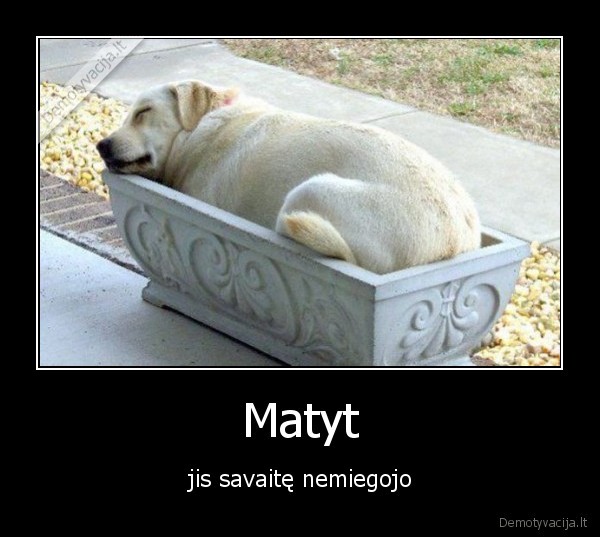Matyt
