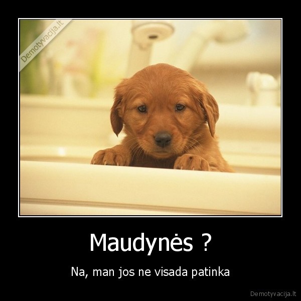 Maudynės ?