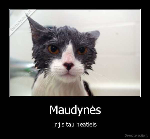 Maudynės