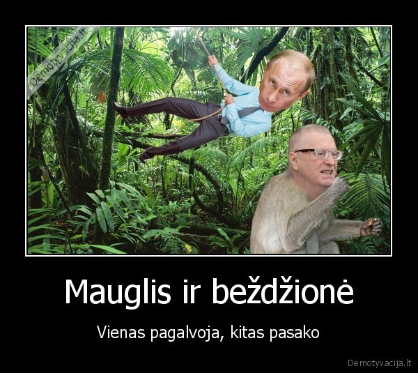 mauglis,bezdzione,rusija,putinas