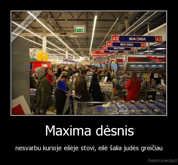 Maxima dėsnis