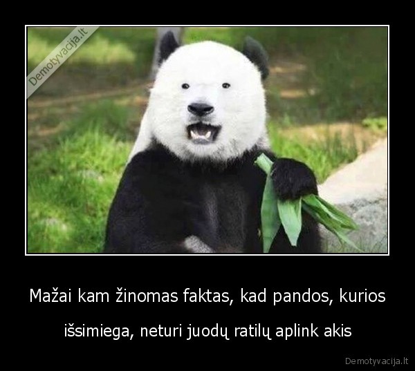 pandu, akys,pandos