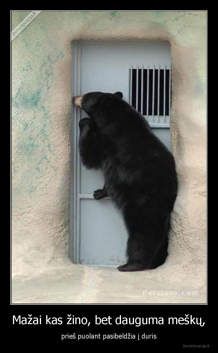 meska,meskos,puola,pasibeldzia