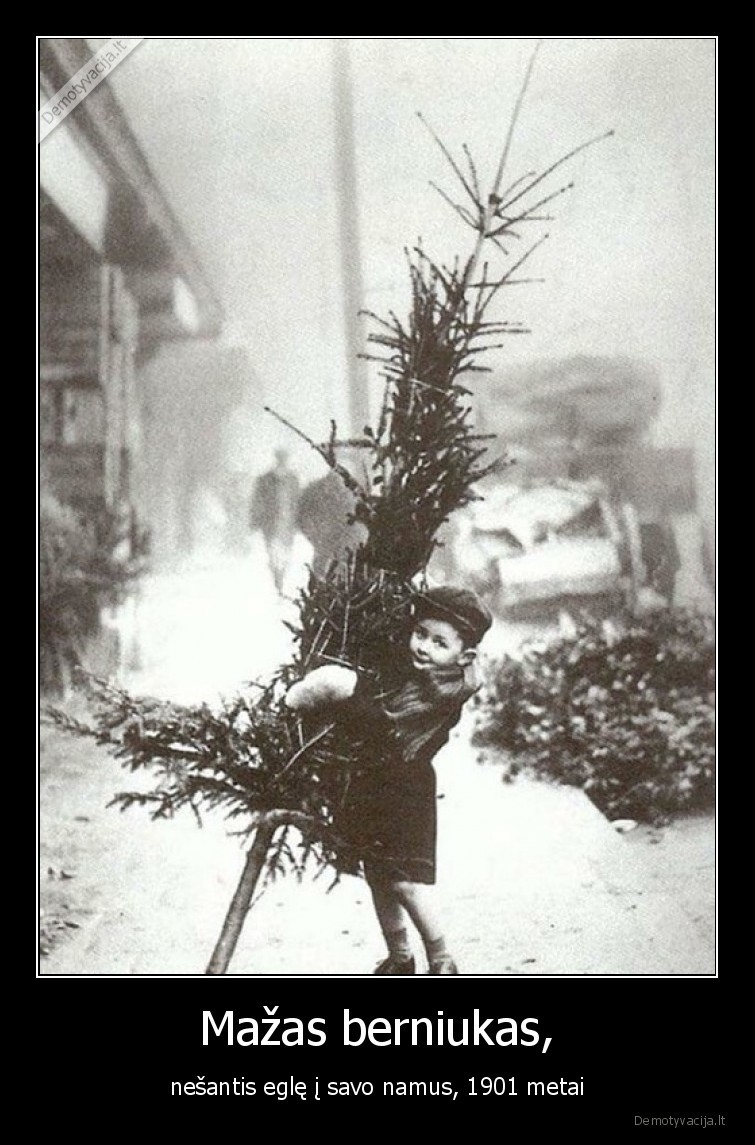 sventes,istorija,sena,nuotrauka,berniukas,su, egle